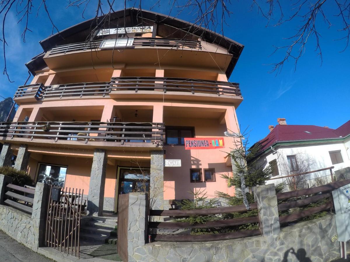 Pensiunea N.A.M Buşteni Buitenkant foto